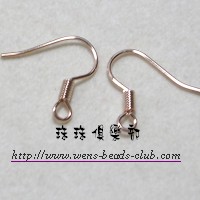 Ear Wire with Coil